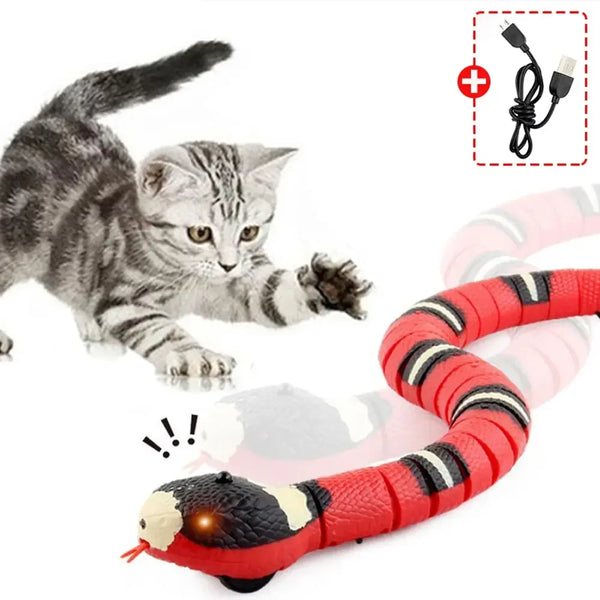 BRINQUEDO SNAKE CAT